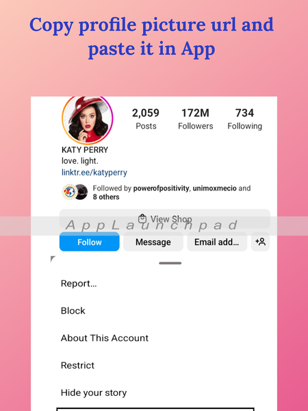 Profile picture download Insta - عکس برنامه موبایلی اندروید