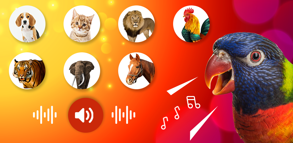 Animal Ringtones - Bird Sounds - Image screenshot of android app
