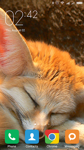 Fennec fox Wallpapers - عکس برنامه موبایلی اندروید