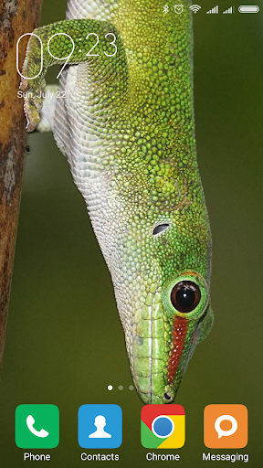 Gecko Wallpapers - Image screenshot of android app
