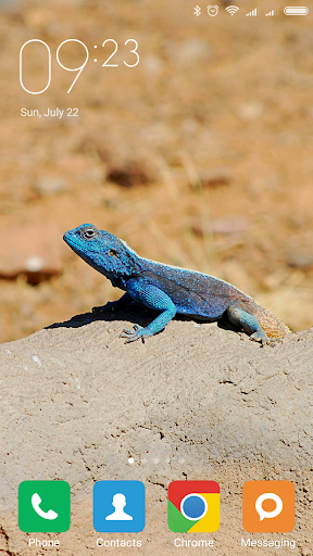 Gecko Wallpapers - Image screenshot of android app