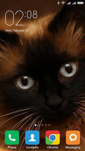 Siamese cat Wallpapers - عکس برنامه موبایلی اندروید