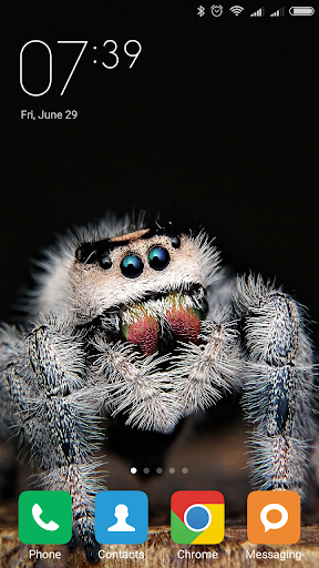 Spider Wallpapers - عکس برنامه موبایلی اندروید