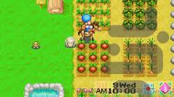 harvest moon friends of mineral town - Gameplay image of android game