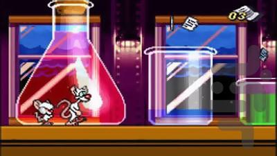 pinky Brain Master plan - Gameplay image of android game