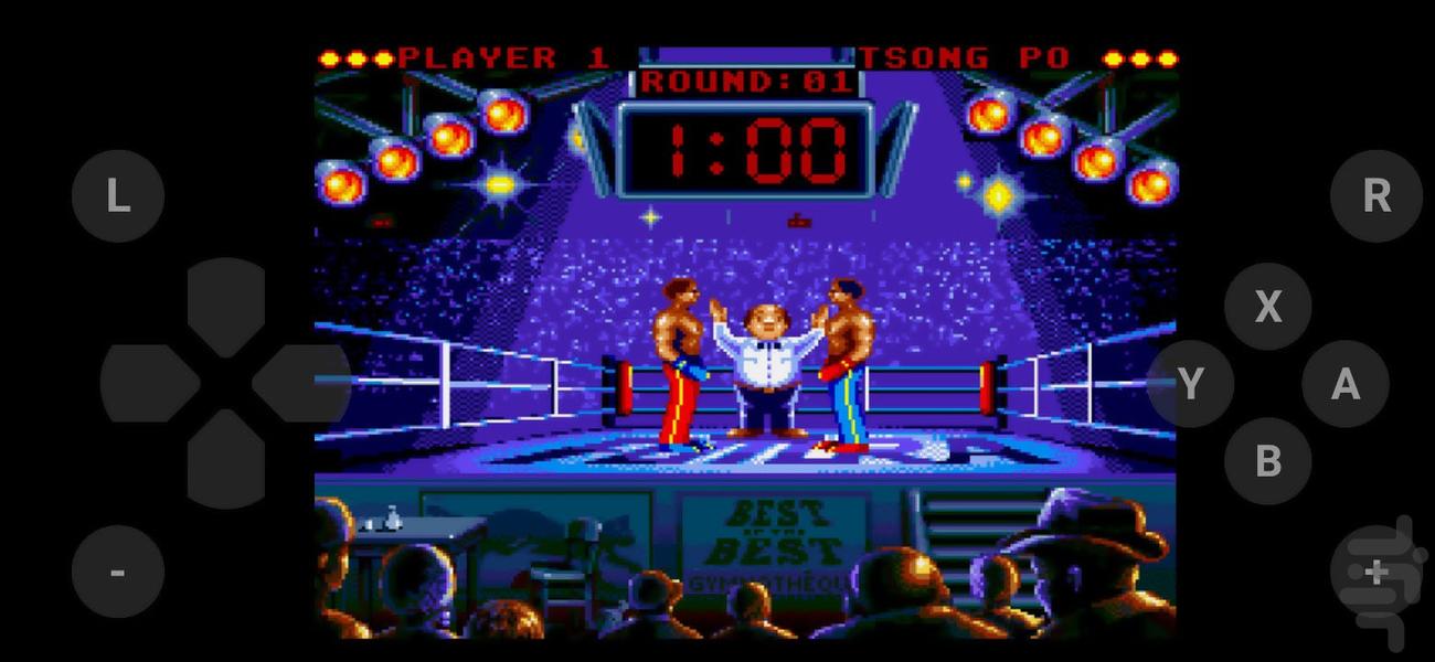 Championship Karate - Gameplay image of android game