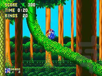 سونیک و ناکلز - Gameplay image of android game