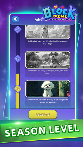 Block Puzzle:Adventure Master - عکس بازی موبایلی اندروید