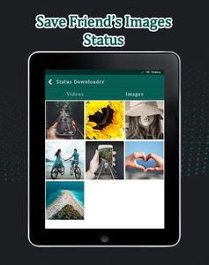 Status Download For Whatsapp - عکس برنامه موبایلی اندروید