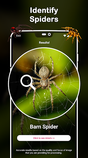 Insect Spider & Bug identifier - عکس برنامه موبایلی اندروید