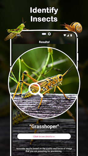 Insect Spider & Bug identifier - عکس برنامه موبایلی اندروید