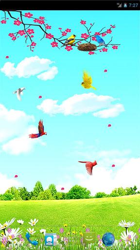 Sky Birds Live Wallpaper Free - عکس برنامه موبایلی اندروید