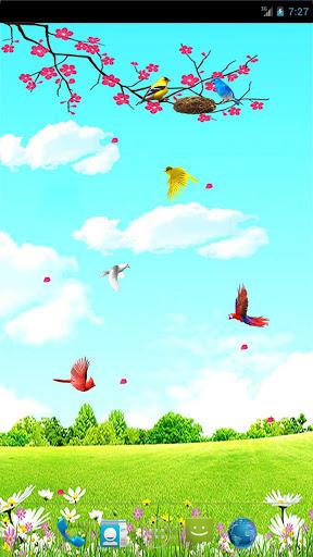 Sky Birds Live Wallpaper Free - عکس برنامه موبایلی اندروید