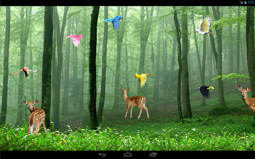 forest hd live wallpaper