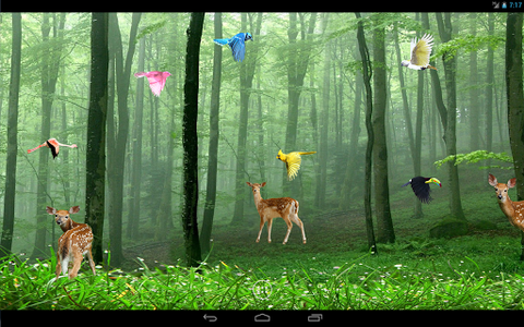 Rain Forest Live Wallpaper for Android - Download | Cafe Bazaar Rain Forest Live Wallpaper for Android - Download | Cafe Bazaar