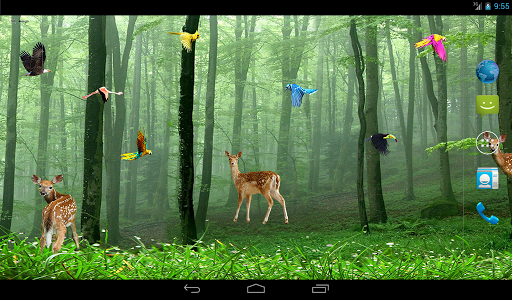 Rain Forest Live Wallpaper - عکس برنامه موبایلی اندروید