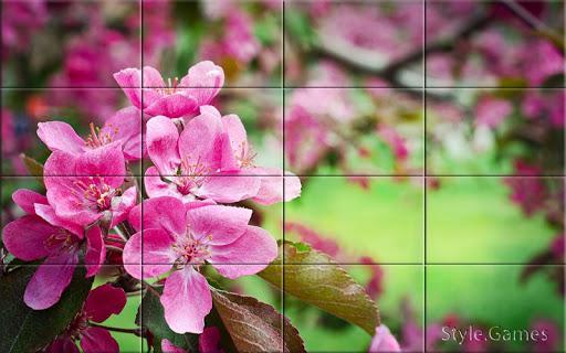 Wonderful Flowers Puzzle - Gameplay image of android game