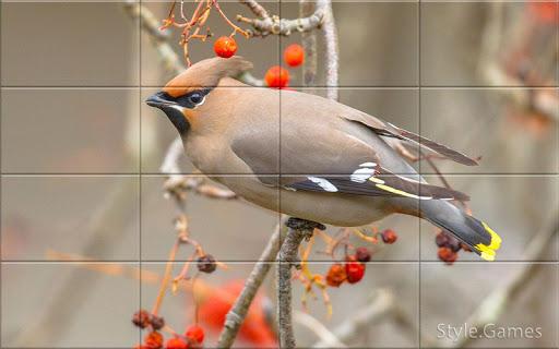 Sparrows Puzzle - عکس بازی موبایلی اندروید