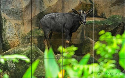 Wildlife Puzzle - Gameplay image of android game