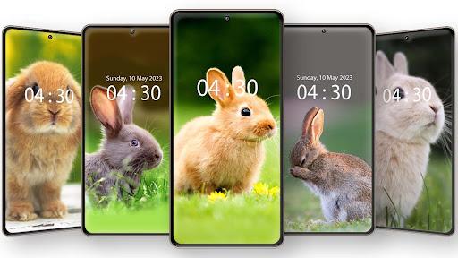 Cute Rabbit Wallpaper HD - Image screenshot of android app