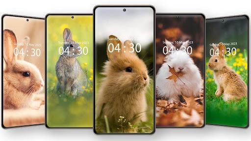 Cute Rabbit Wallpaper HD - Image screenshot of android app