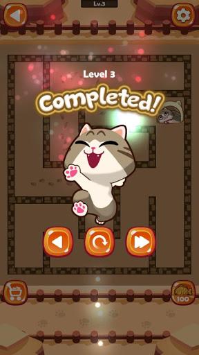 Maze Cat - Rookie - Gameplay image of android game