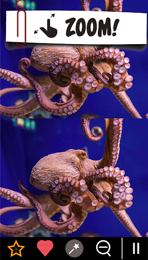 Find the differences +۷۵۰ - عکس بازی موبایلی اندروید