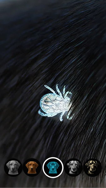 Tick Detector: Pet Tick Scan - عکس برنامه موبایلی اندروید