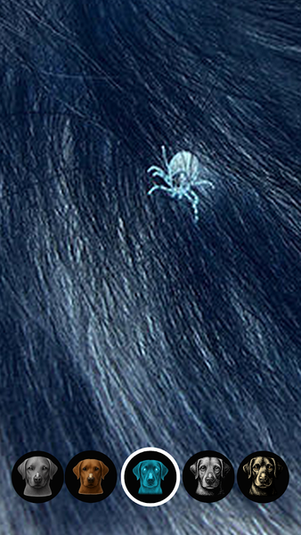 Tick Detector: Pet Tick Scan - Image screenshot of android app