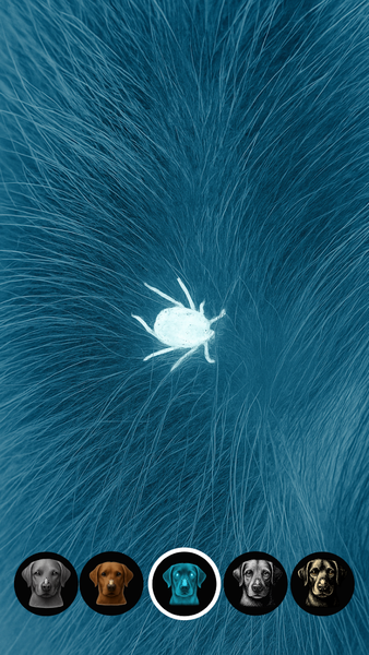 Tick Detector: Pet Tick Scan - عکس برنامه موبایلی اندروید