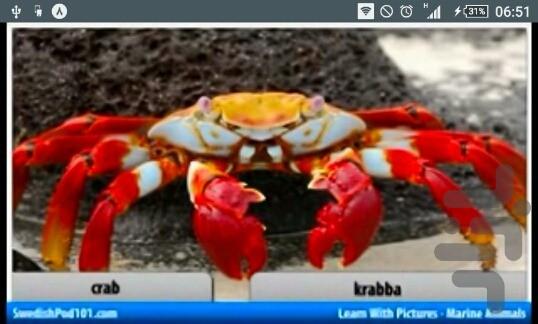 آموزش لغات روزمره سویدی - Image screenshot of android app