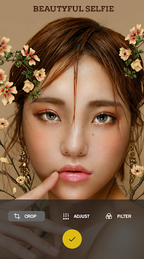 BeautyCam Plus - Selfie Camera - عکس برنامه موبایلی اندروید