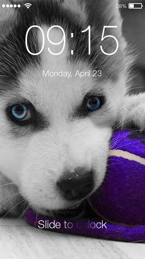 Husky Puppy HD Free PIN Lock - عکس برنامه موبایلی اندروید