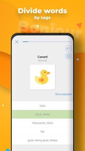 My Dictionary - polyglot - عکس برنامه موبایلی اندروید