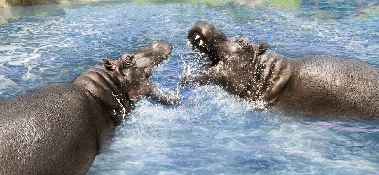 Wild Dino Hunting Game 3D - Gameplay image of android game