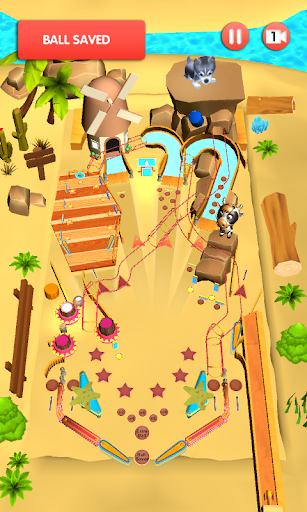 Pet PinBall - عکس برنامه موبایلی اندروید