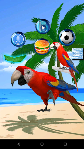 Talking Parrot 2 - Image screenshot of android app
