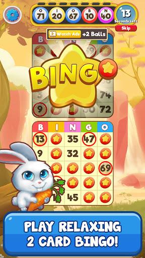 Bingo Pet Rescue - Gameplay image of android game