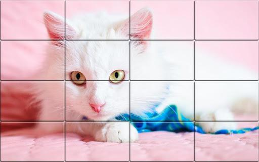 Tile Puzzle Cats - Gameplay image of android game