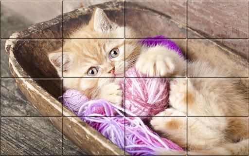 Solitaire Cats Puzzle - عکس بازی موبایلی اندروید
