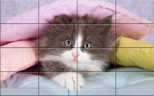 Solitaire Cats Puzzle - عکس بازی موبایلی اندروید