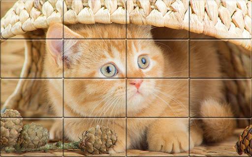 Solitaire Cats Puzzle - عکس بازی موبایلی اندروید