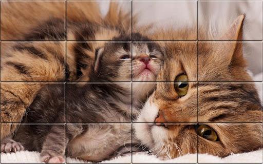 Solitaire Cats Puzzle - عکس بازی موبایلی اندروید