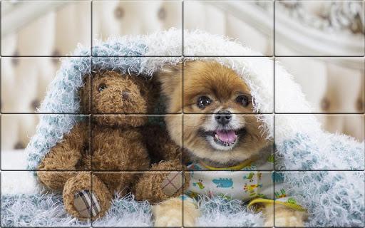 Tile Puzzle Pomeranian Dogs - Gameplay image of android game