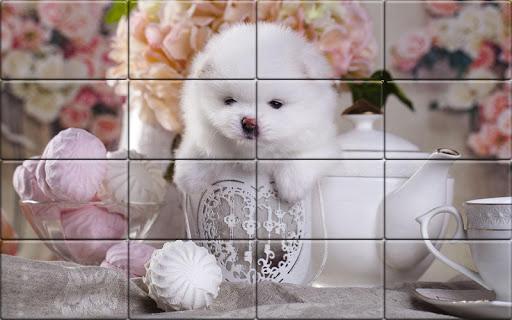 Tile Puzzle Pomeranian Dogs - Gameplay image of android game