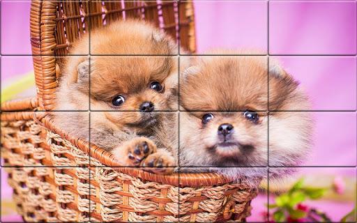 Tile Puzzle Pomeranian Dogs - Gameplay image of android game