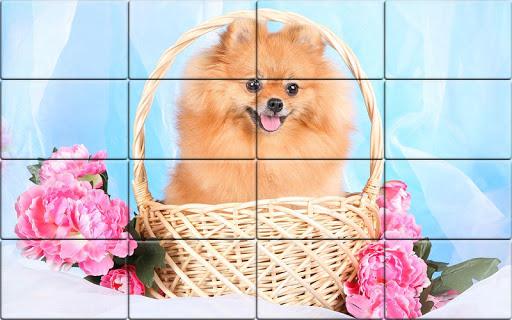Tile Puzzle Pomeranian Dogs - Gameplay image of android game