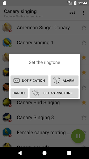 Canary Bird Sounds - Image screenshot of android app