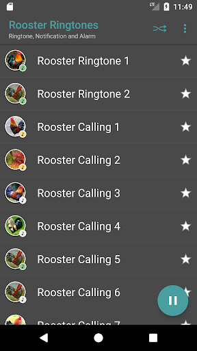 Rooster Sounds - Image screenshot of android app