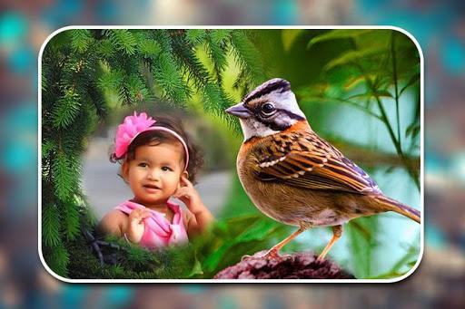 Birds Photo Frames - عکس برنامه موبایلی اندروید